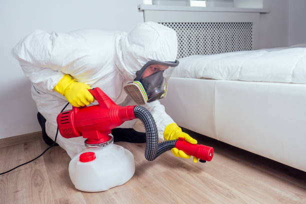 Best Pest Removal Services  in Desert View Highlands, CA