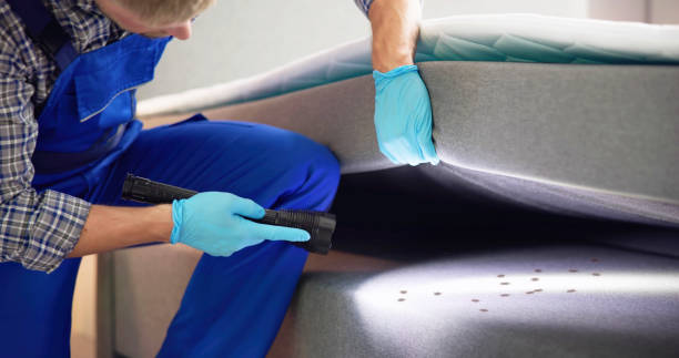 Best Rat Extermination Near Me  in Desert View Highlands, CA