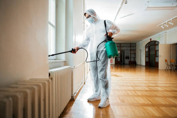 Best Pest Control Near Me in Desert View Highlands, CA